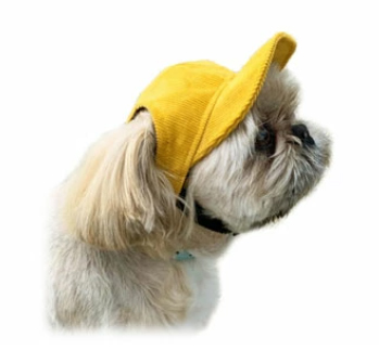 KOBEDOGブランドの帽子を被った犬の画像