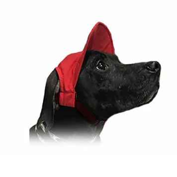 KOBEDOGブランドの帽子を被った犬の画像